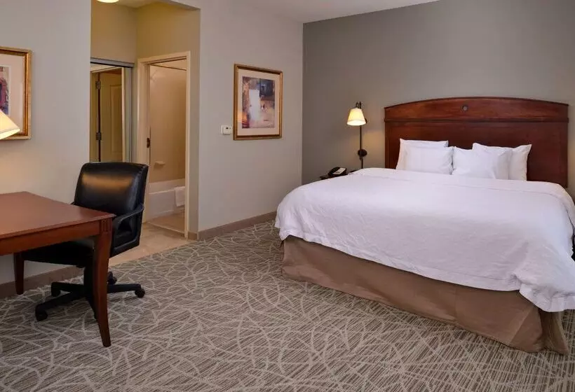 ホテル Hampton Inn By Hilton Litchfield