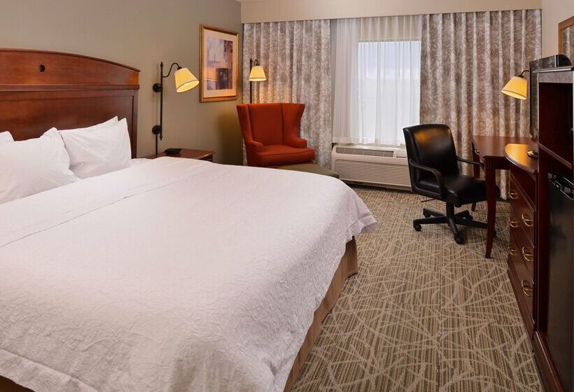 ホテル Hampton Inn By Hilton Litchfield