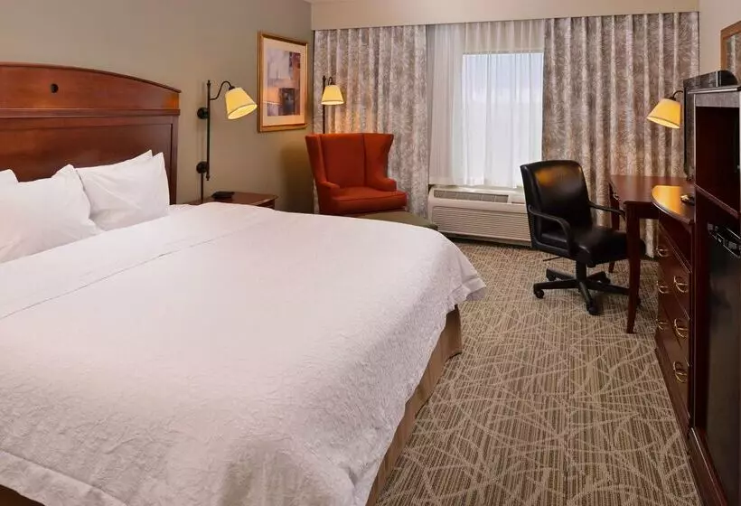 ホテル Hampton Inn By Hilton Litchfield