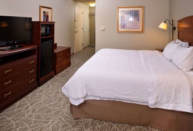 ホテル Hampton Inn By Hilton Litchfield