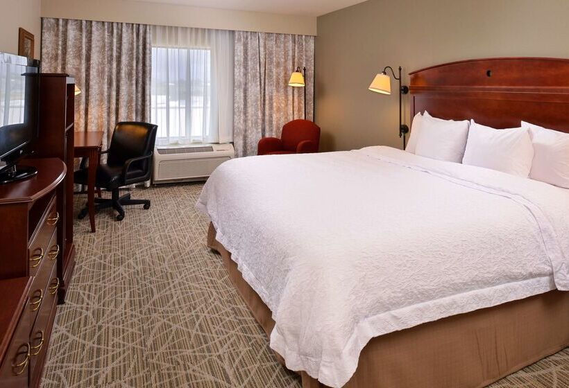 ホテル Hampton Inn By Hilton Litchfield