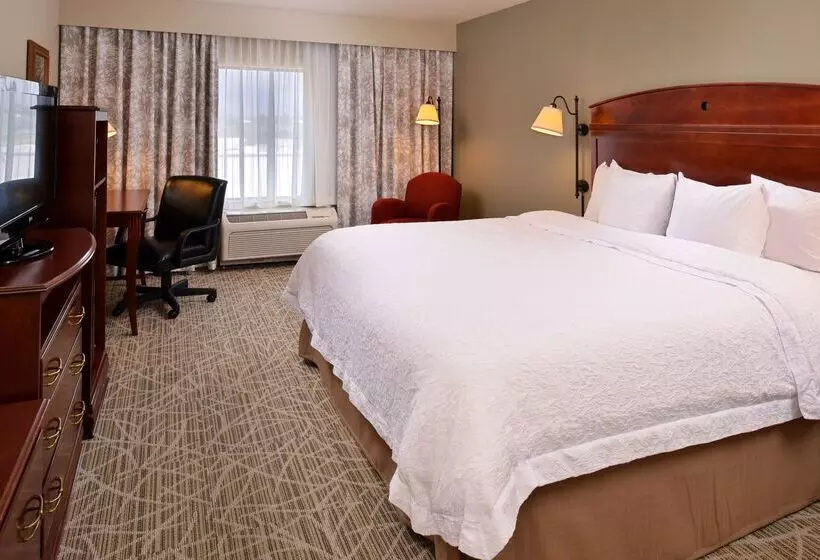 ホテル Hampton Inn By Hilton Litchfield