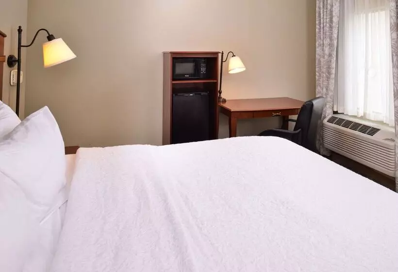 ホテル Hampton Inn By Hilton Litchfield