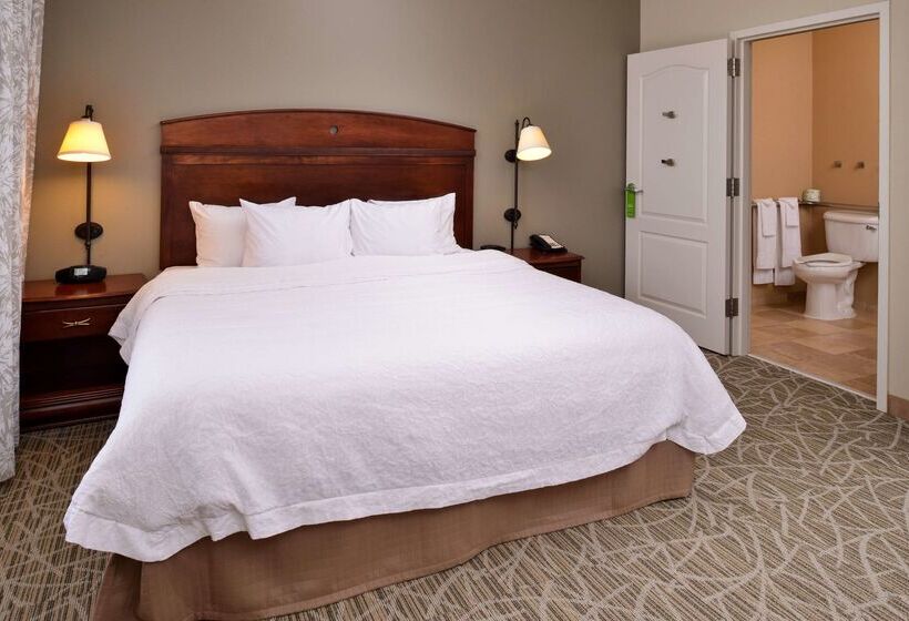 ホテル Hampton Inn By Hilton Litchfield