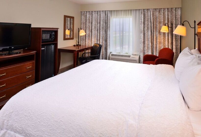 ホテル Hampton Inn By Hilton Litchfield