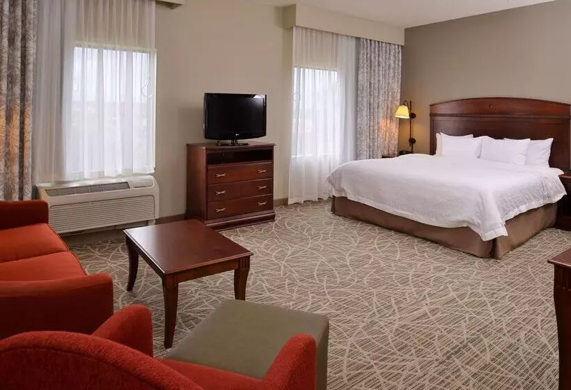 ホテル Hampton Inn By Hilton Litchfield