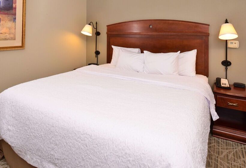 ホテル Hampton Inn By Hilton Litchfield