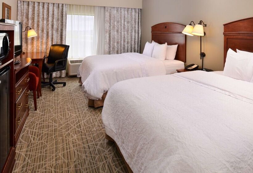 ホテル Hampton Inn By Hilton Litchfield