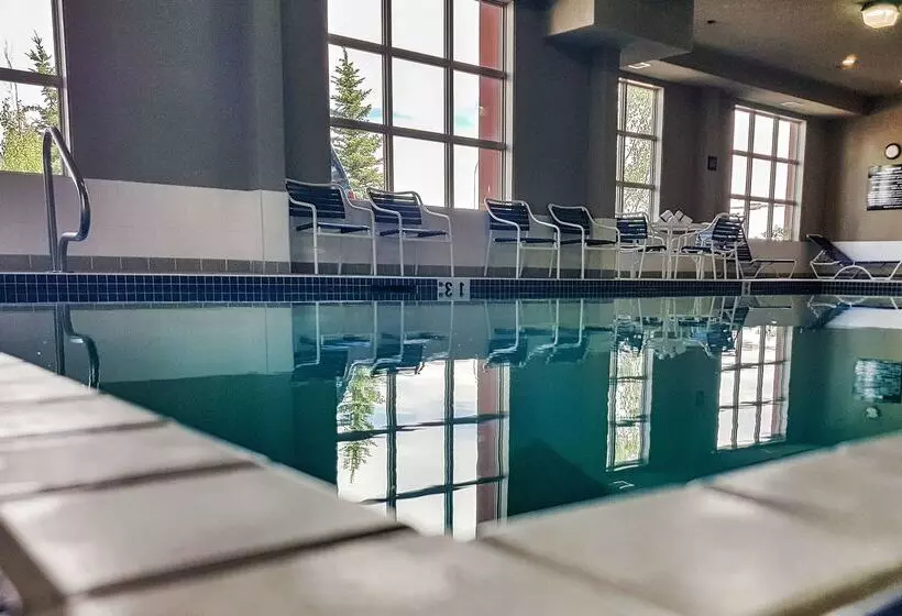 酒店 Hampton Inn & Suites By Hilton Edmonton Intl Airport