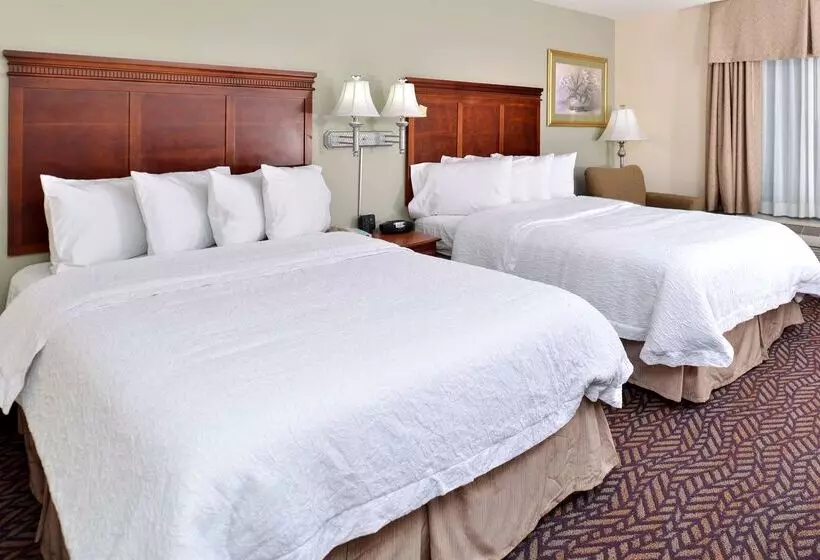فندق Hampton Inn & Suites Daytonvandalia