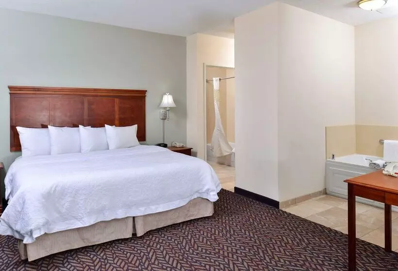 فندق Hampton Inn & Suites Daytonvandalia