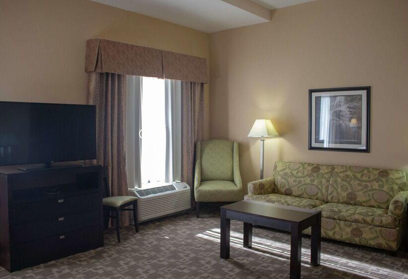 酒店 Hampton Inn & Suitesknoxville/north I75