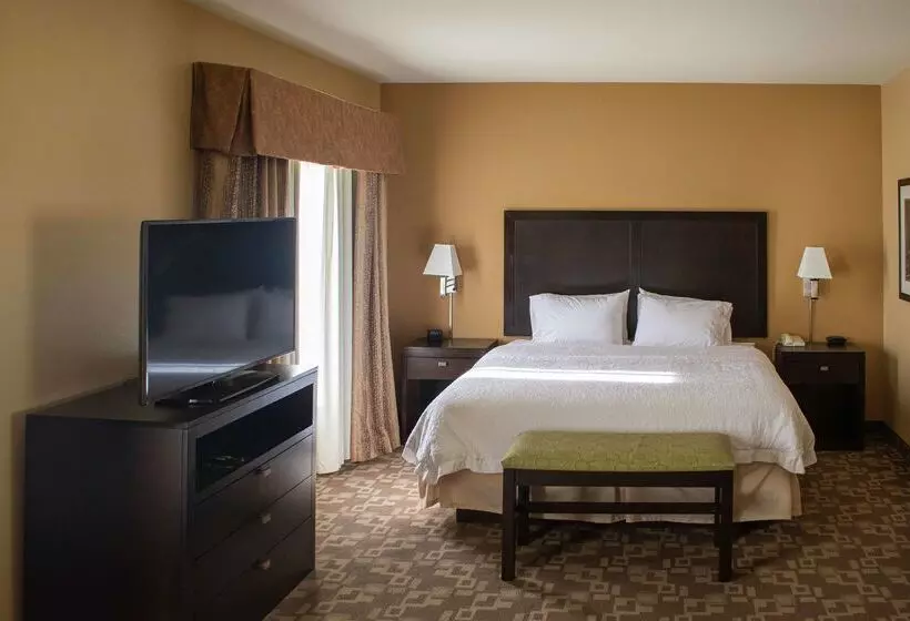 فندق Hampton Inn & Suitesknoxville/north I75