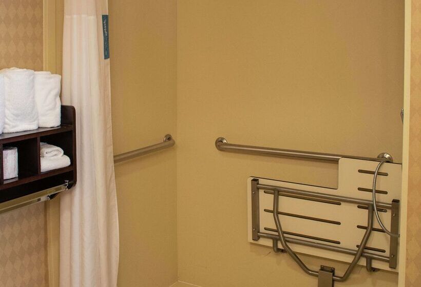 酒店 Hampton Inn & Suitesknoxville/north I75