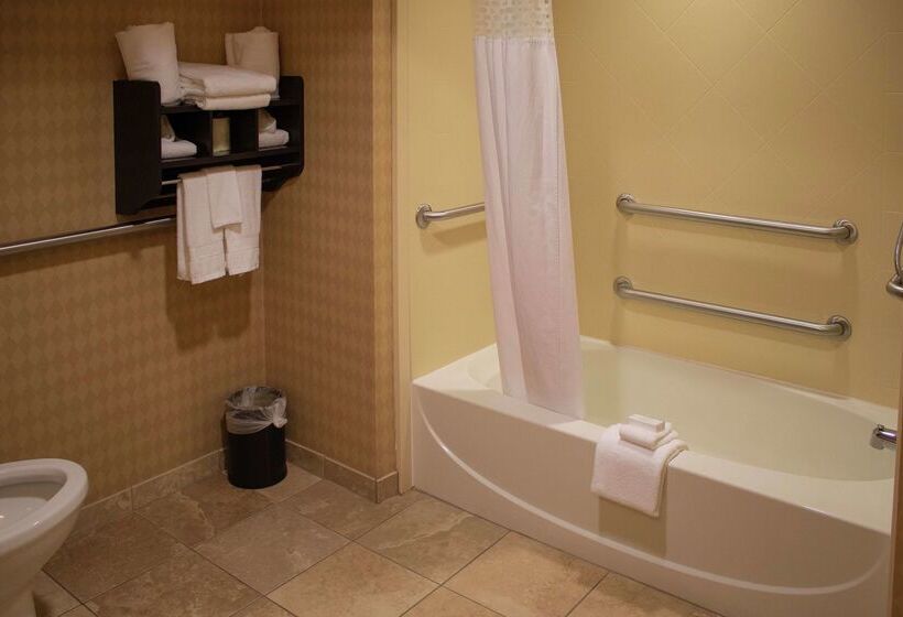 酒店 Hampton Inn & Suitesknoxville/north I75