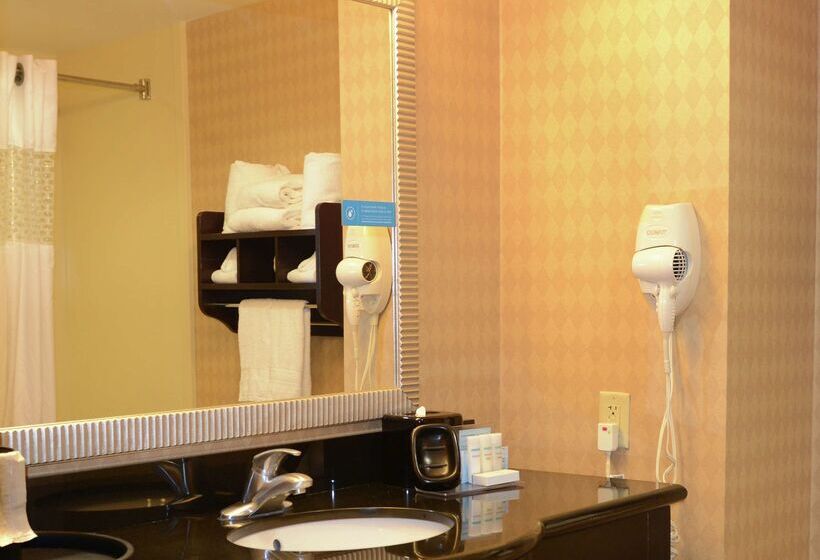 酒店 Hampton Inn & Suitesknoxville/north I75