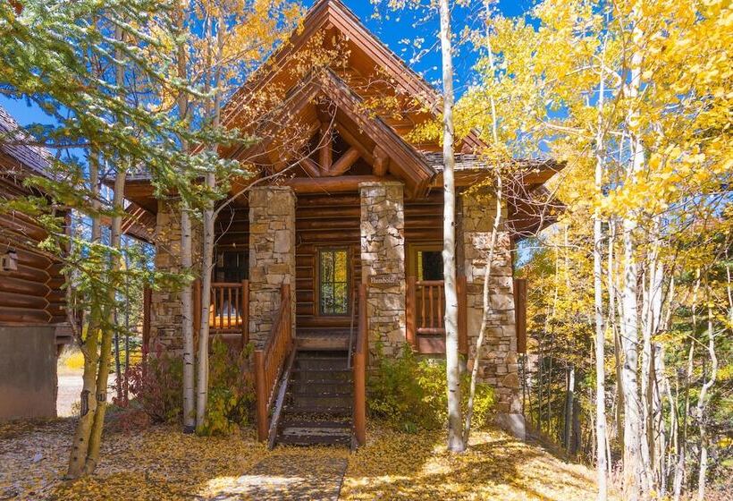 هتل Telluride Mountain Lodge Skiin Out Amazinglocation