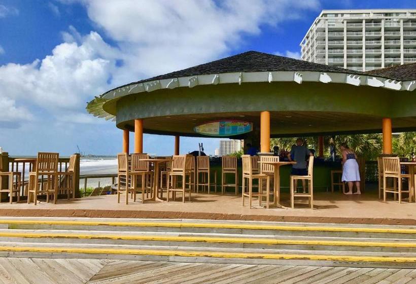 Szálloda Royale Palms 1005h