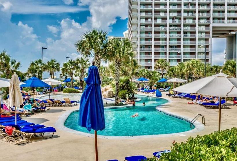 Szálloda Royale Palms 1005h