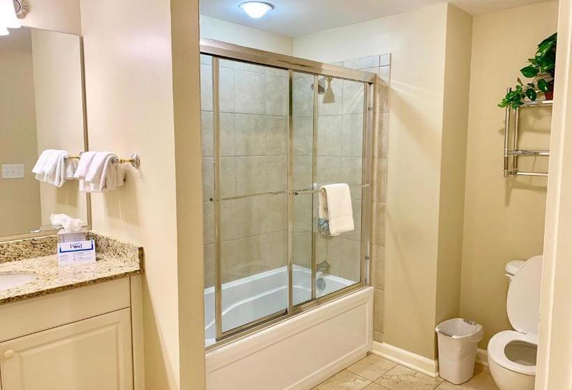 Szálloda Royale Palms 1005h