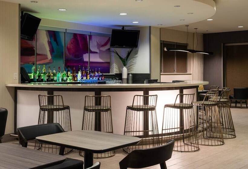 בית מלון כפרי Springhill Suites Miami Downtown/medical Center