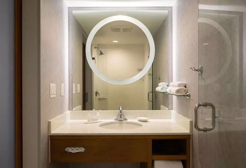 호텔 Springhill Suites Miami Downtown/medical Center