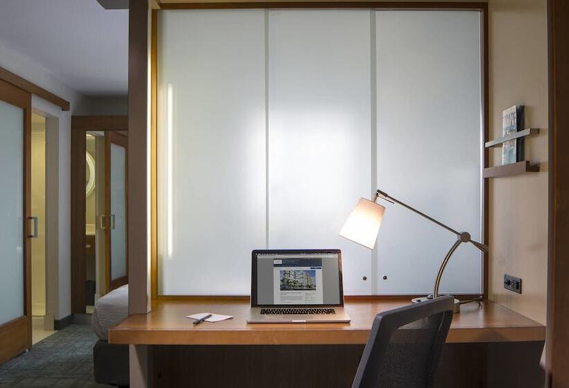 בית מלון כפרי Springhill Suites Miami Downtown/medical Center