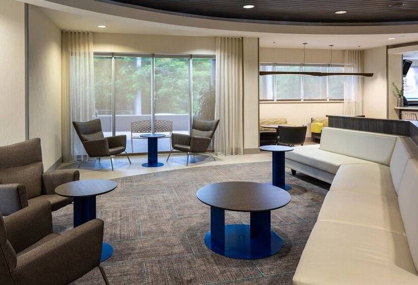 בית מלון כפרי Springhill Suites Miami Downtown/medical Center