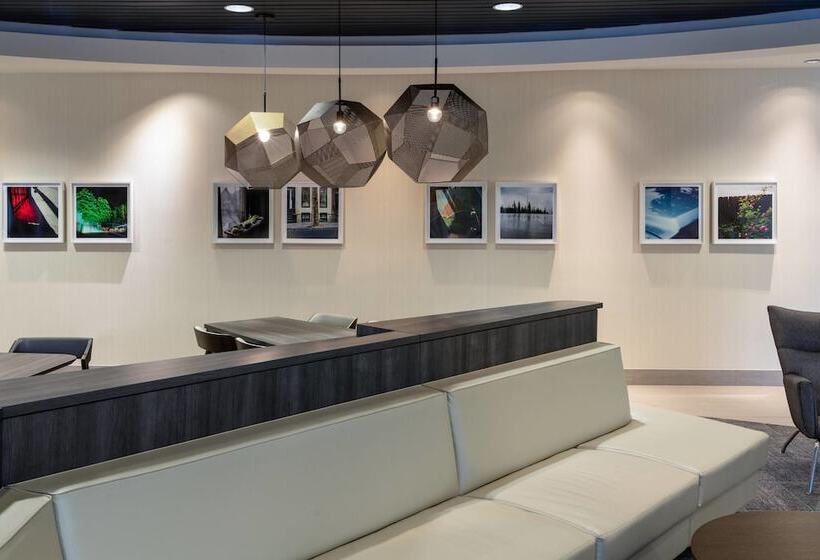 בית מלון כפרי Springhill Suites Miami Downtown/medical Center