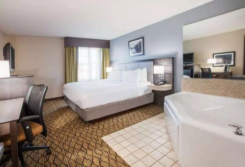 Hotel Wingate By Wyndham Roseville/detroit