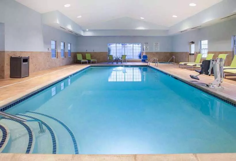 Hotel Wingate By Wyndham Roseville/detroit