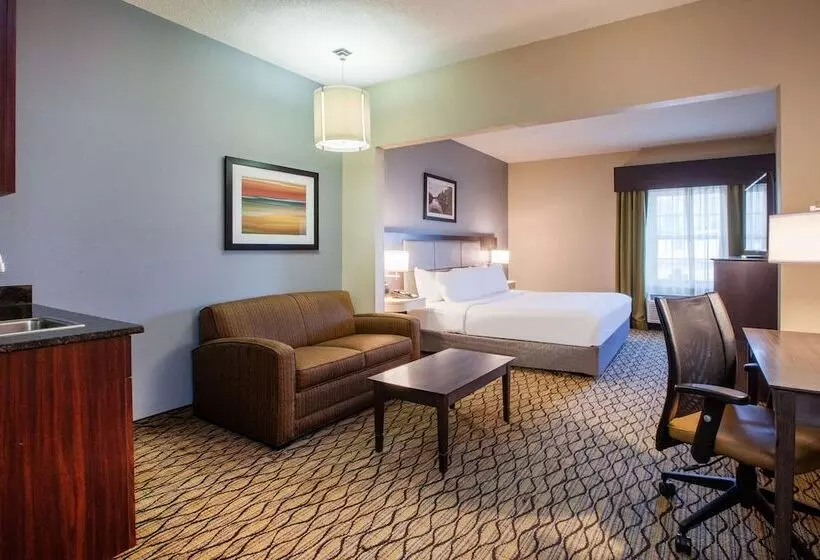 Hotel Wingate By Wyndham Roseville/detroit