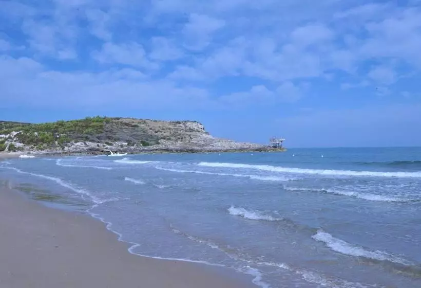 ホテル Valtur Baia Del Gusmay Beach Resort