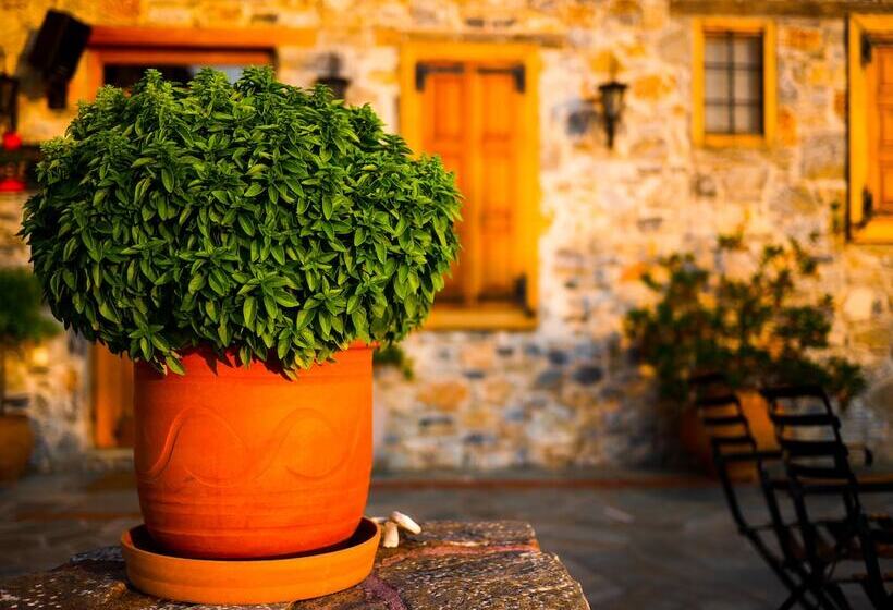 فندق Eos Authentic Experience