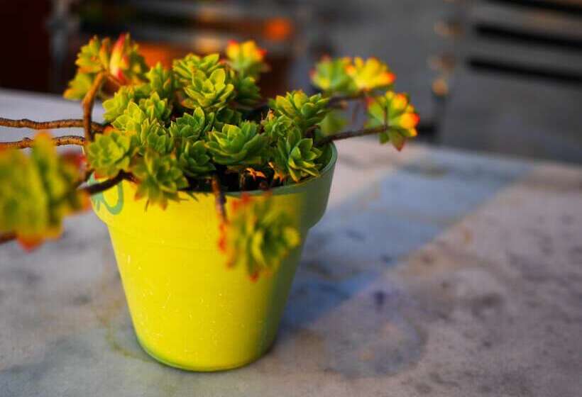 فندق Eos Authentic Experience