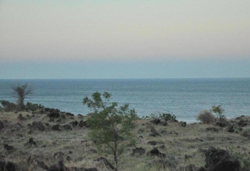 ホテル Tulamben Backpacker