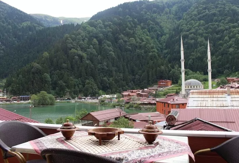 هتل Uzungol Adiloglu Apart