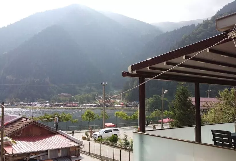 هتل Uzungol Adiloglu Apart