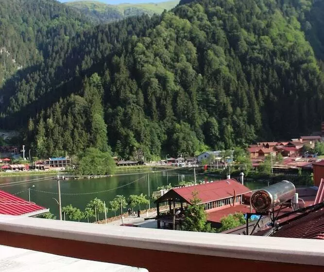 هتل Uzungol Adiloglu Apart