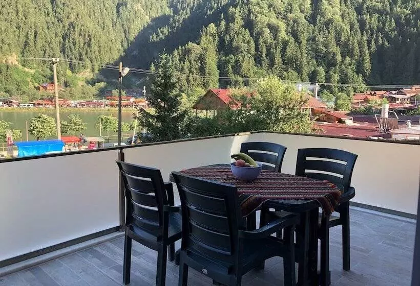 هتل Uzungol Adiloglu Apart