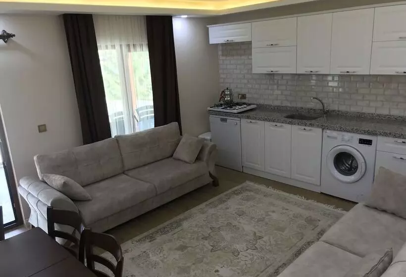 هتل Uzungol Adiloglu Apart