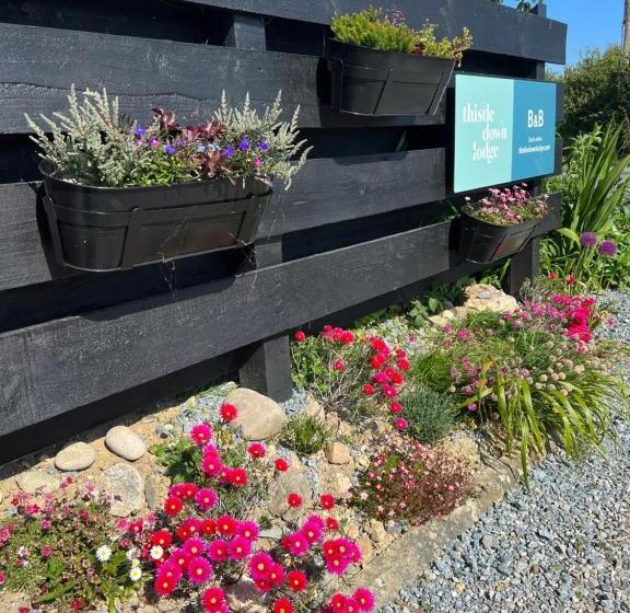 مبيت وإفطار Thistledown Lodge