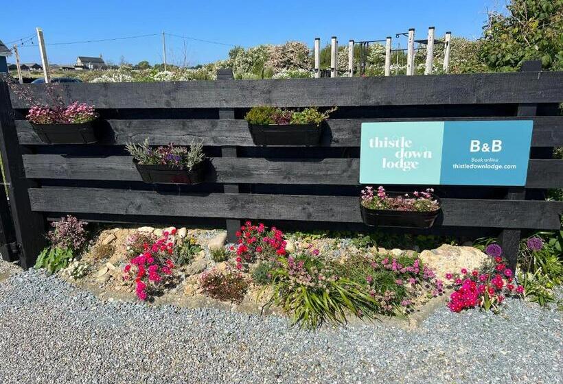 مبيت وإفطار Thistledown Lodge