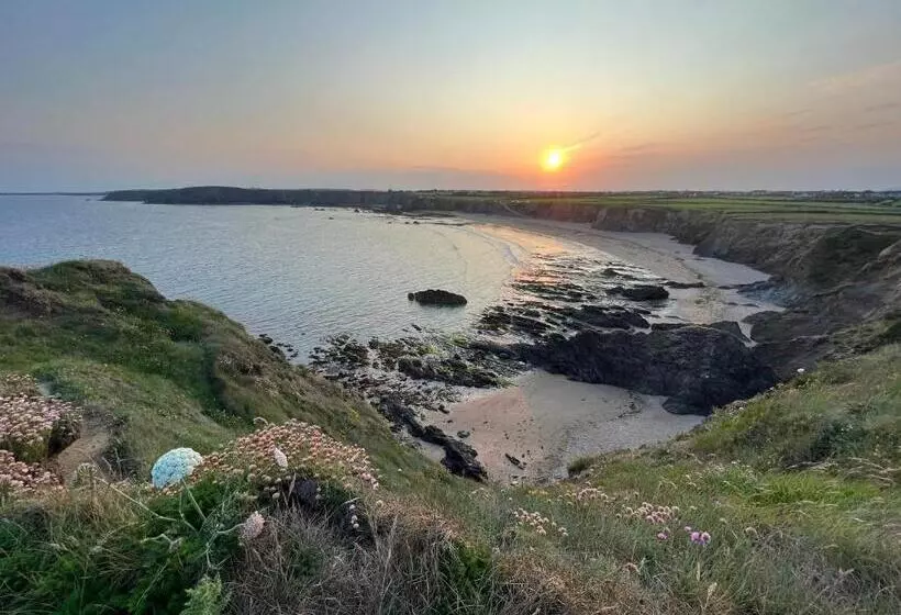 ベッドアンドブレックファースト Thistledown Lodge