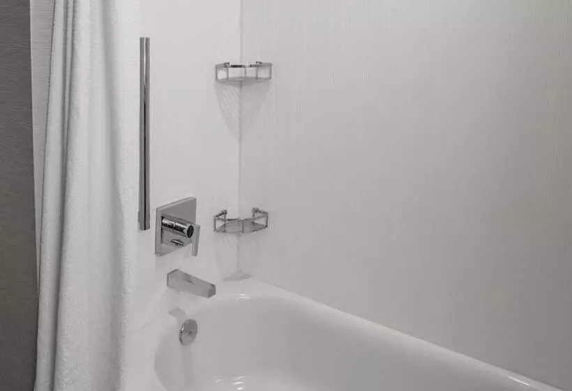 ホテル Courtyard By Marriott Indianapolis Fishers