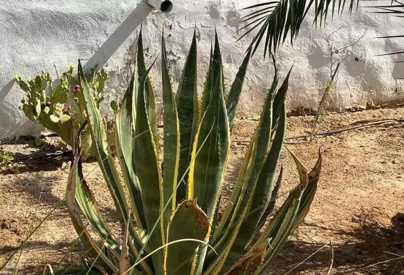 Majatalo Maison D Hote Domaine El Manar