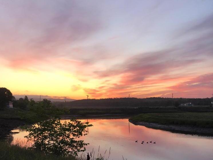 Bed and Breakfast Pleasant Street Inn