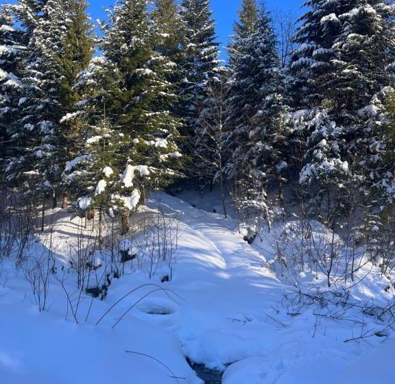 بنسيون Belvedere Karpaty Panorama