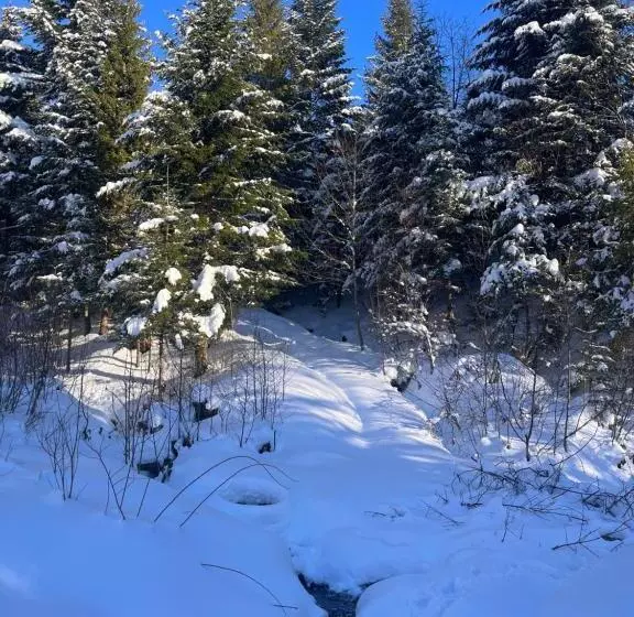 ペンション Belvedere Karpaty Panorama