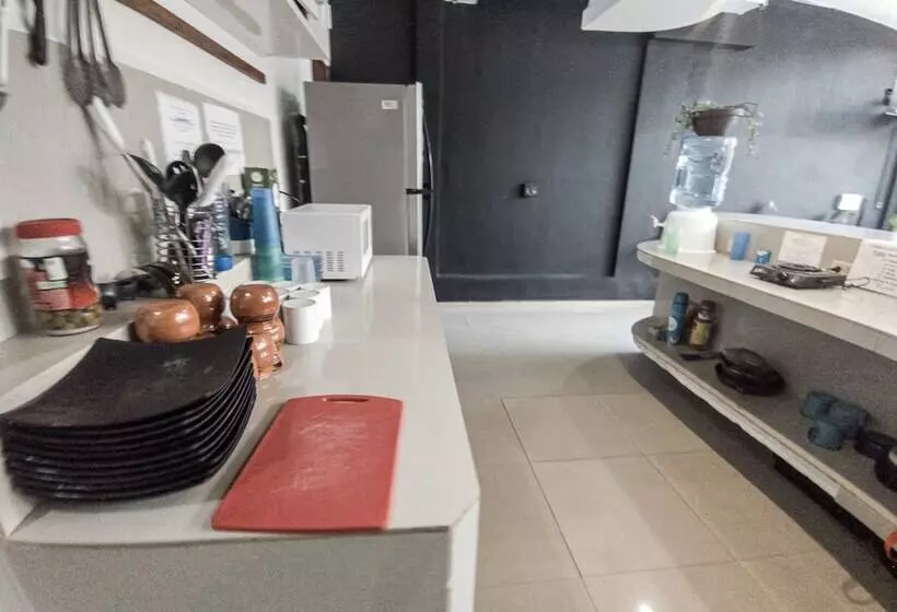 ペンション Hostal Lezzoto 2.5 Beach   Hostel